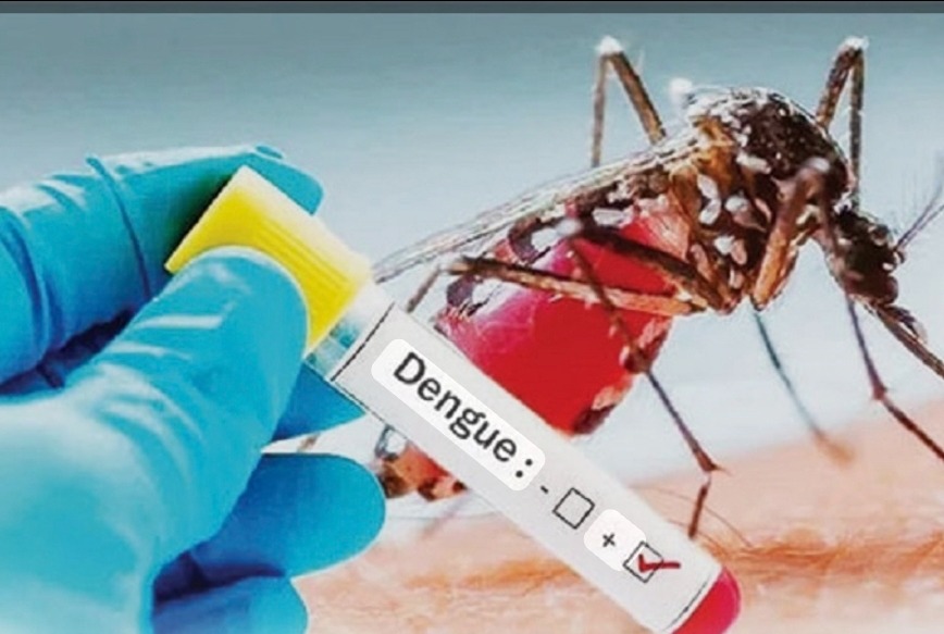 2026දී ඩෙංගු රෝගීන් 25,000 ඉක්මවයි
